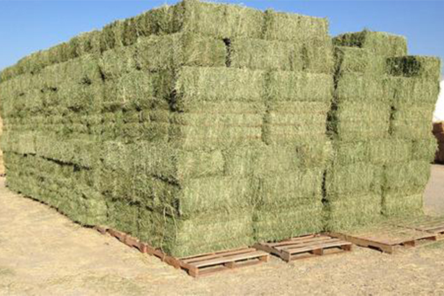 produse_0001_baloti-lucerna-uscata-nitu-land.jpg
